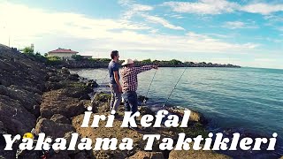 KEFAL AVI VE TEKNİKLERİ / DİP OLTASI İLE KEFAL AVI / TAKOZ KEFALLER