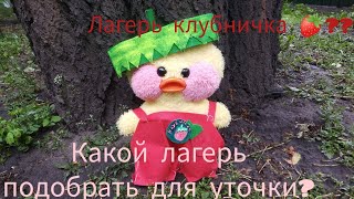 Какой лагерь подобрать для уточки лалафанфан? Лагерь клубничка 🍓 Лиза и Поля