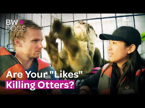 OTTER TRADE: UNVEILING GANGSTERS, GUNS & GLOBAL MISERY!