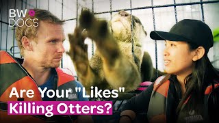 The Dark Truth Behind Cute Otter Videos | Otters And The Exotic Pet Trade | Full Documentary