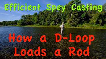 Efficient Spey Casting:  Part 2 - How a D-Loop Loads a Rod & Why Skagit & Scandi Are Different.