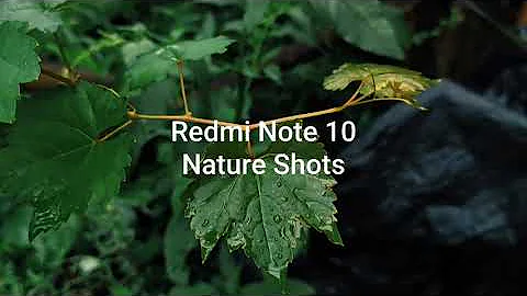 Cinematic Nature Shots HD | Xiaomi Redmi Note 10 |