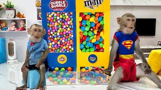 Bim Bim Monkey Plays Candy Vending Machine With Colorful Gumball Mixing Rainbow M&M