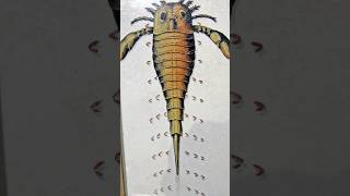 Giant Sea Scorpions: The Ocean’s Forgotten Nightmare
