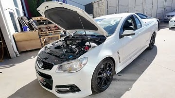 Chopper Reid Camshaft | Holden VF SS Idle Sound That Turns Heads