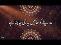 Madine ko jayen ye ji chahta hai  hafiz sheraz qadri  heart touching naat nature3337