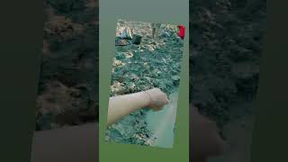 27 ธนวาคม ค.ศ. 2023