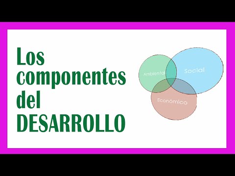 ¿Cuáles Son Los Componentes Del Desarrollo Profesional?