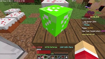 hypixel skyblock bug