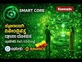 Smart Core Full Business Plan in Kannada