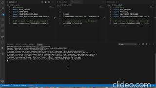 Ring-election start up a cluster for developers