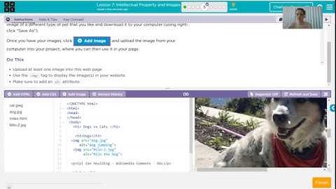 Code Org Level 7 Lesson 7 Coding Images