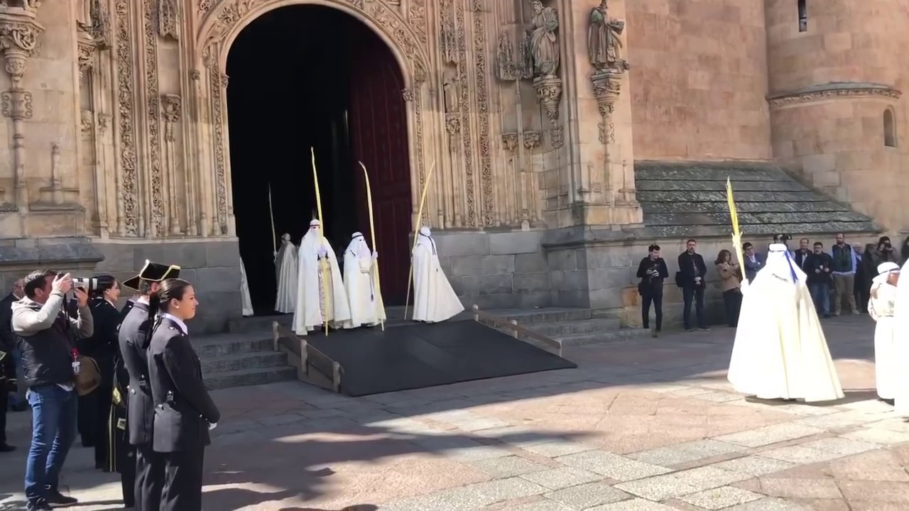 Procesión de la Borriquilla 2019
