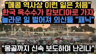 “메콩 역사상 이런 일은 처음” 한국 옥수수가 캄보디아로 가자 놀라운 일 벌어져 외신들 “패닉” “몽골까지 신속 보도하며 난리나”