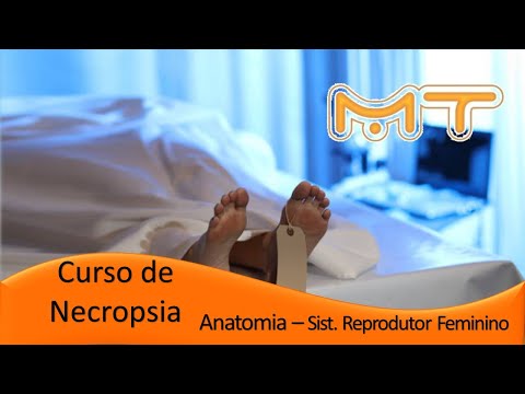 Vídeo: 12 Coisas A Saber Sobre Vaginas 