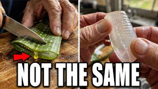 BEFORE You Put Aloe Vera on Plants — Know These 7 Tricks (And 3 That Backfire) screenshot 5