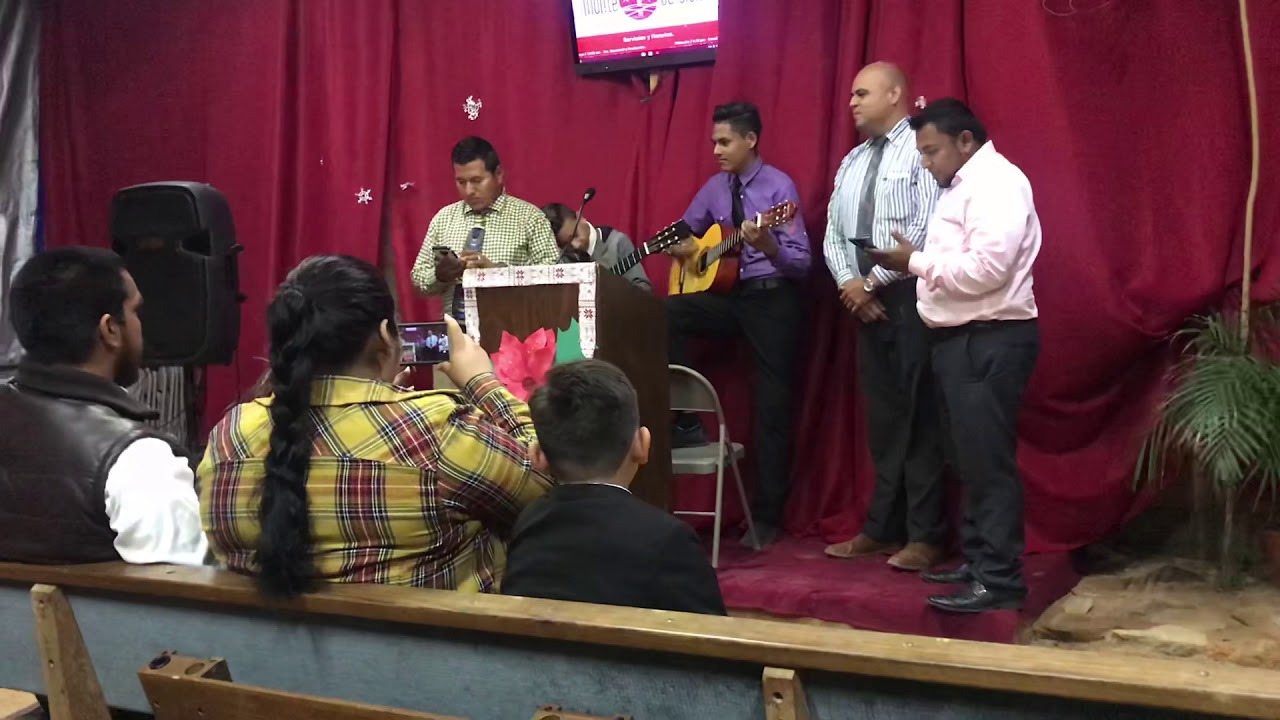 Canto Mi Primer Amor (de rondalla la fe) YouTube