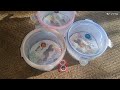 ঘুরে এলাম অবনি মল থেকে। এটা হাওড়া তে আছে