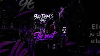 Big Dam's 96_Elle veut (remix cheat code de @BIGFLACKOCRAM disponible le 20 juin