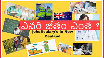 Salary Scale for various jobs in New Zealand న్యూజిలాండ్ లో ఎవరి జీతం ఎంత?💰💰🇳🇿Vlog