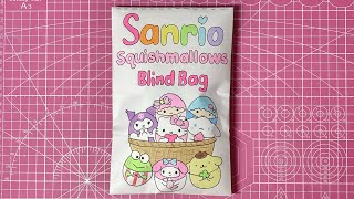 Sanrio Squishmallows Blind Bag Tutorial Asmr Sanriolve