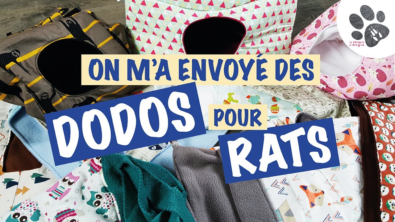 Dodos Pour Rats, Des Accessoires En Tissu Pour Rongeurs