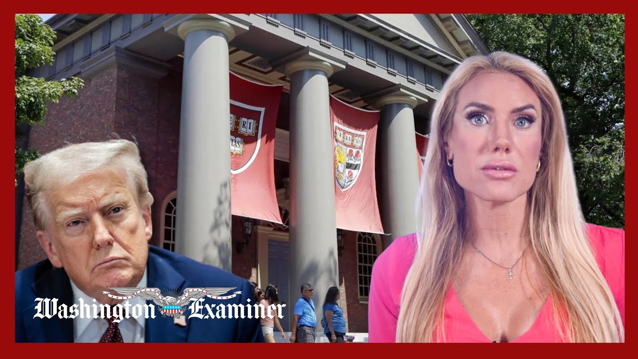 Judge blocks Trump’s Harvard freeze, Trump appeals ruling, US-Mexico unite