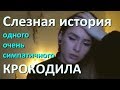 Женские слезы - слезы крокодила. Реальная история милашки. Dislive MGTOW МД