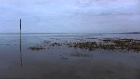 04 Chris Watson - Haefest [Touch]