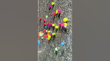 Marble Run Race ASMR Reverse Video #marblesatisfyingasmr #satisfying #marblesofig