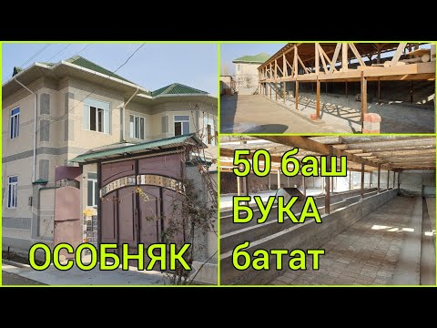 Video: Үй дарагы