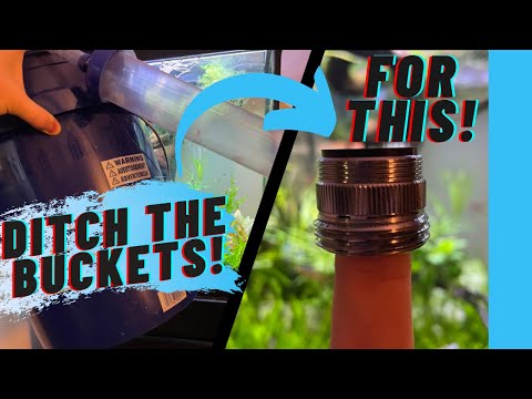 Cheap and Easy Water Change System  | DIY Python Water Change System