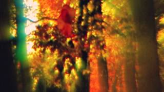 Clickits - September Sounds Like This