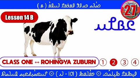 Lesson 14 B Class 1 Rohingya Zuburn Basic Education Curriculum And Textbook Committee Episode 27