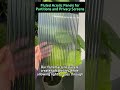 Looking for colored acrylic sheets in bulk?