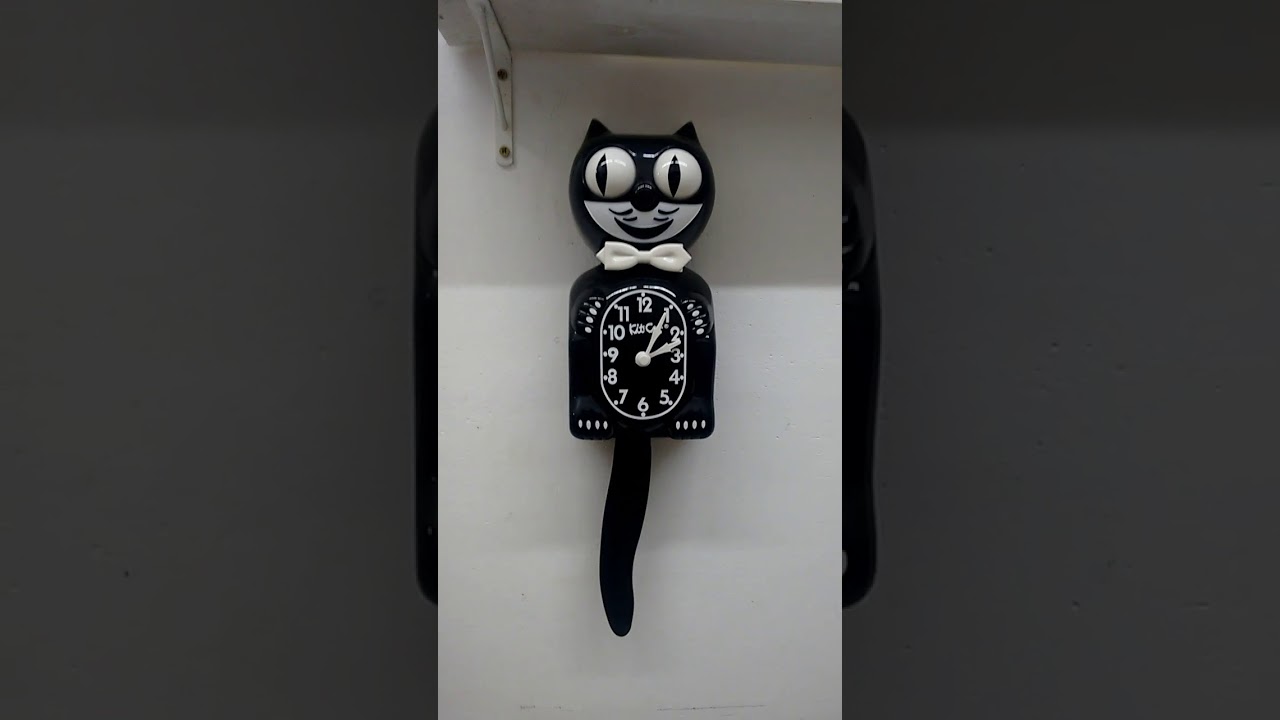 felix cat moving eyes