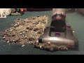 Fast Vacuuming + Bin Dumps (Requested video)