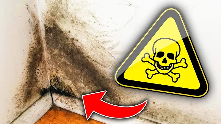 10 Warnings of Mold Toxicity in your Home Black Mold Symptoms