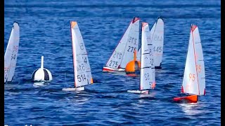 RACE 1A    South Queensland 2024 DF65 Championships