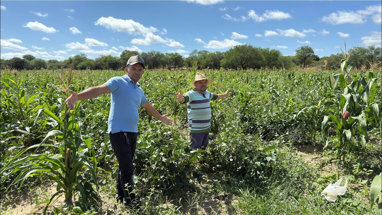 Rafael Mostra Sua Roça de Onde ele Sustenta a Família