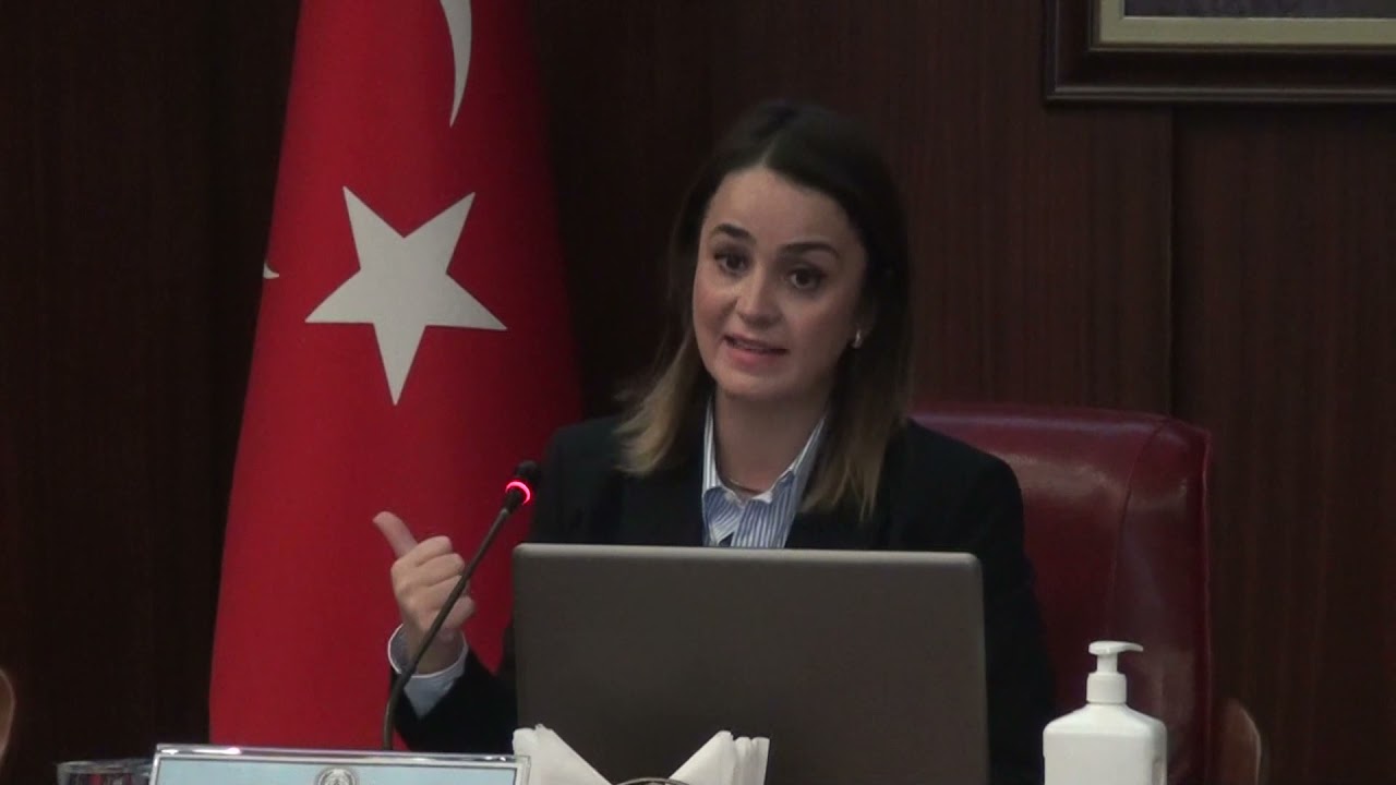 AVRUPA İNSAN HAKLARI MAHKEMESİNE BİREYSEL BAŞVURU USULÜ