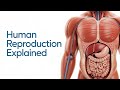 CBSE Grade 10 Science(Biology) How Do Organisms Reproduce III Video Explanation