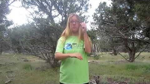 ASL Project Video: Self-Introduction