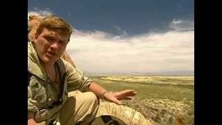 *RAY MEARS* EXTREME SURVIVAL  DESERT