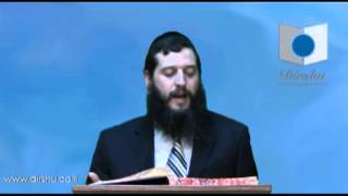 הדף היומי - מסכת פסחים דף מ"ג