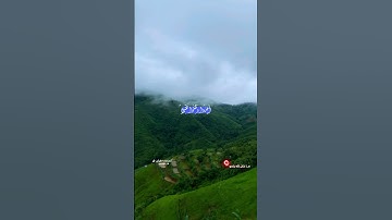 القارئ محمد صديق المنشاوي . مَّلْعُونِينَ ۖ أَيْنَمَا ثُقِفُوا