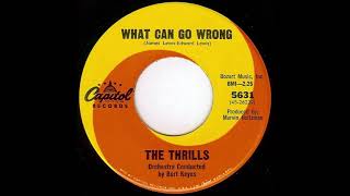 The Thrills ...  What can go wrong ...1966.