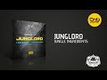 Junglord  jungle ingredients  drum and bass