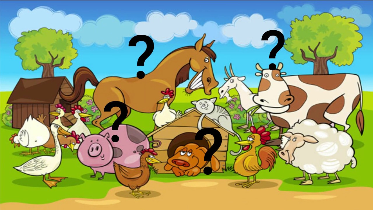 Lección 1 Animali in spagnolo - IPCBrunico Didattica a distanza sc.  infanzia - YouTube