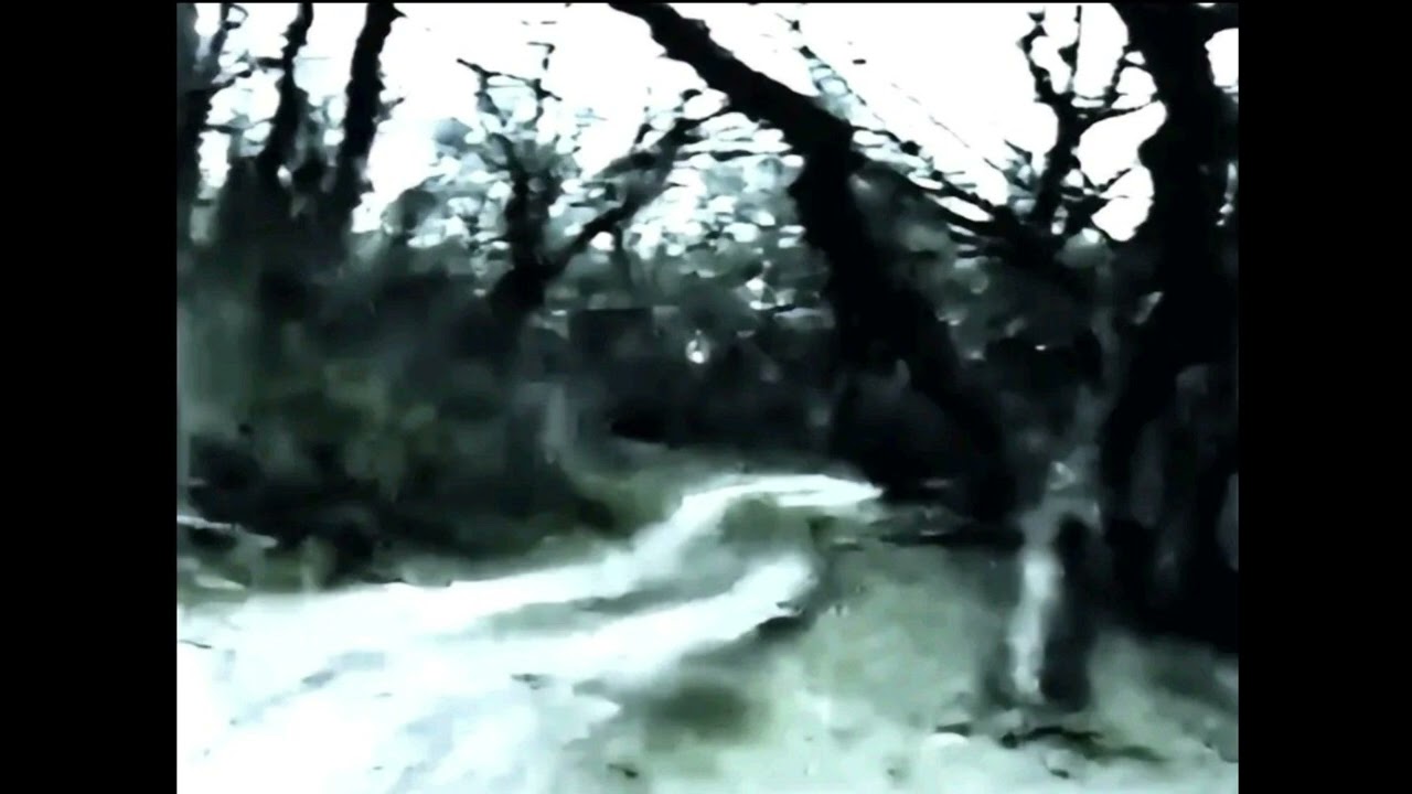 crystal castles x snow strippers type beat - paralyzed in thought